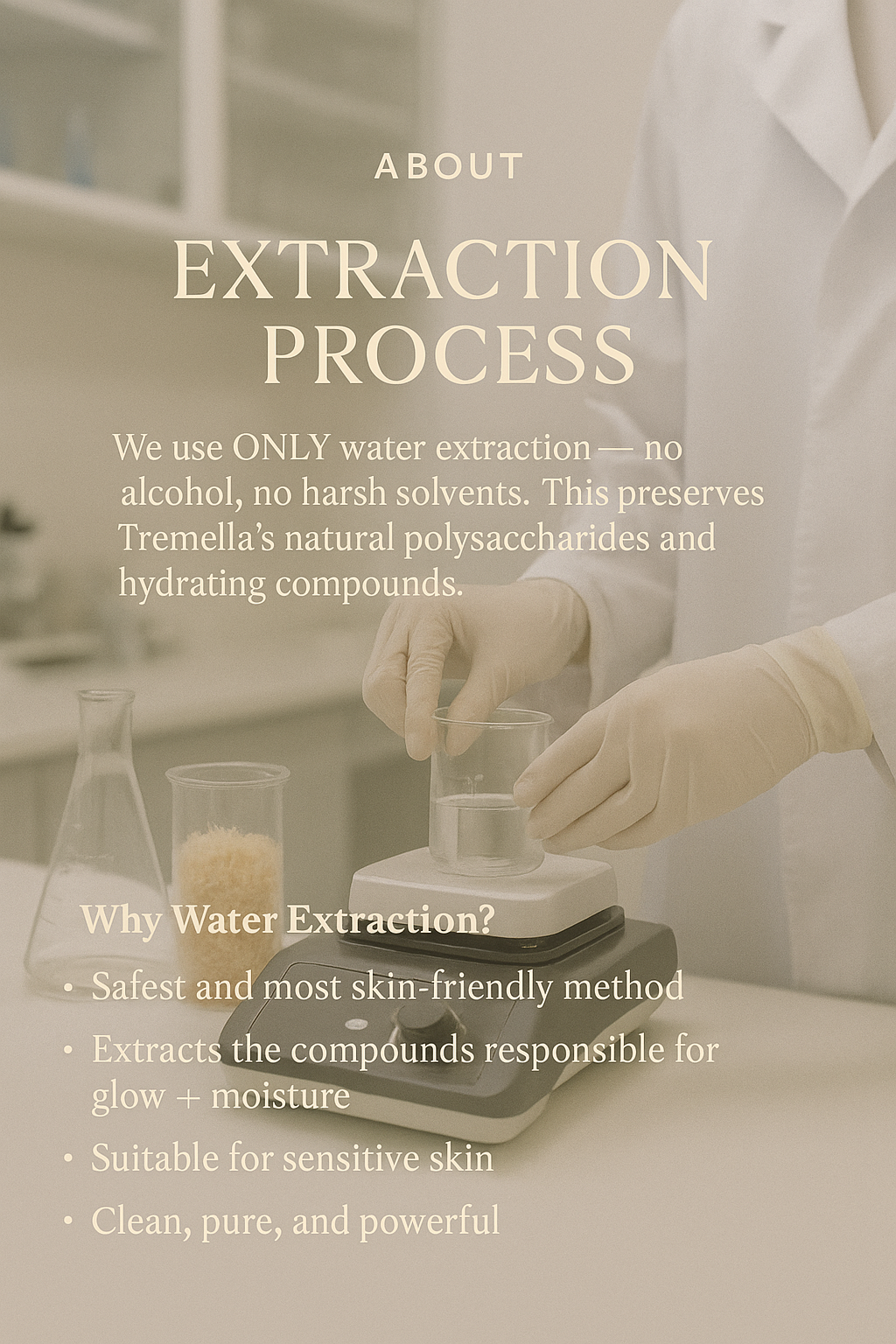 Tremella Radiance Bundle – Hydrate • Nourish • Glow