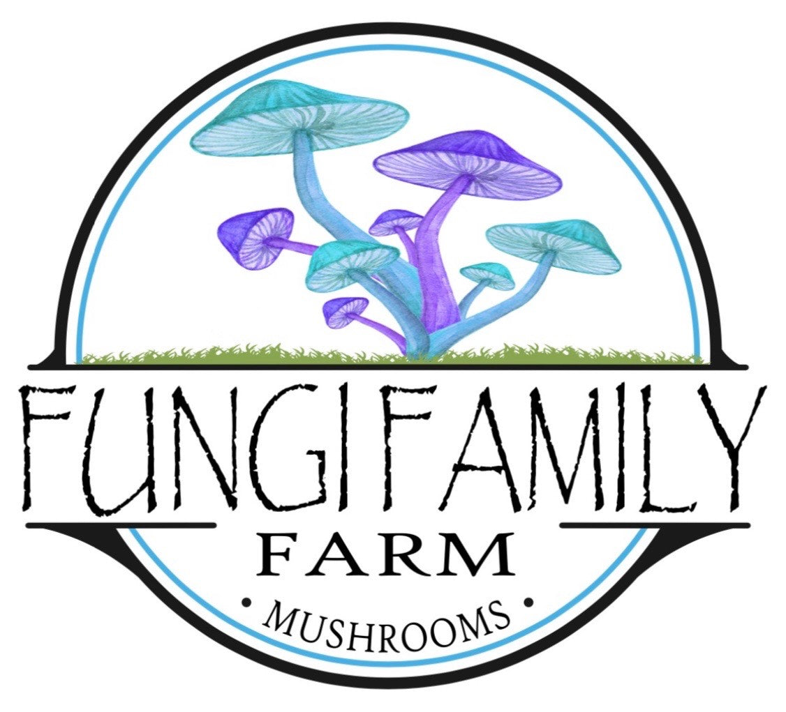 Agaricus Blazei Tincture – Dual + Ultrasonic Extract for Immune Balance & Vitality