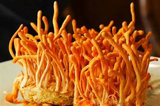 Cordyceps Mushroom Extract Capsules