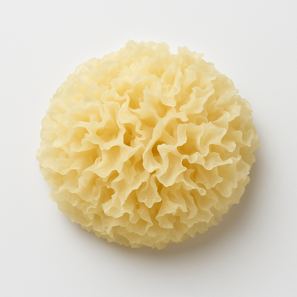 Tremella Glow Serum