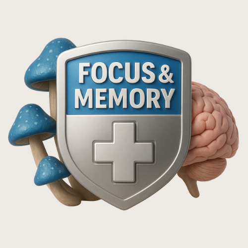 Focus & Memory