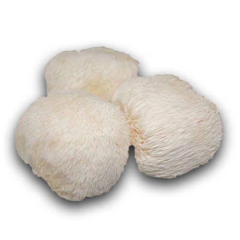 Lions Mane