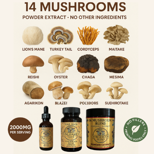 14 Mushroom Blend Capsules – Full-Spectrum Functional Mushroom Support