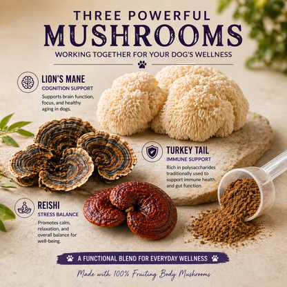 Daily Mushroom Blend for Dogs | Natural Food Topper with Functional Mushrooms