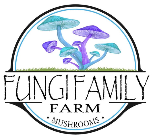 Agaricus Blazei Tincture – Dual + Ultrasonic Extract for Immune Balance & Vitality