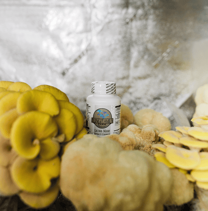 Lions Mane Mushroom Extract Capsules