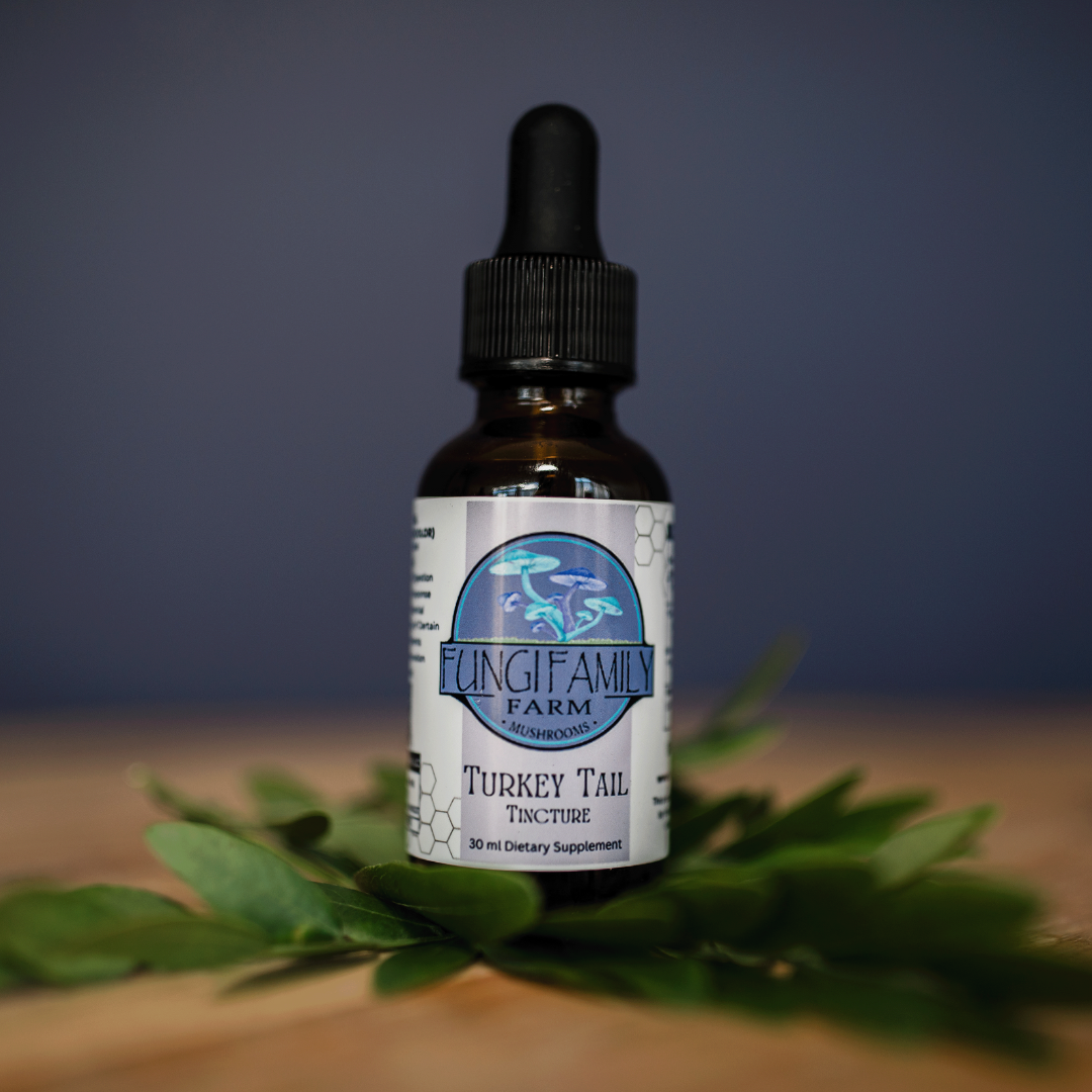Turkey Tail Mushroom Tincture Fungi Family Farm turkey-tail-mushroom-tincture-fungi-family-farm