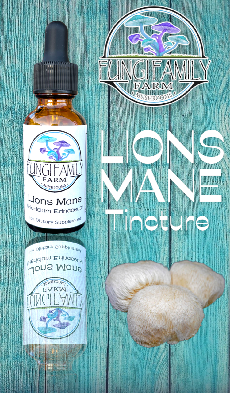 Lions Mane Mushroom Tincture